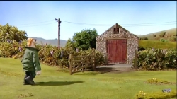 بره ناقلا (زنبورها را ساکت کن)